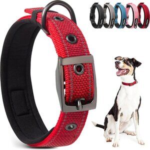 Heavy Duty Reflective Dog Collar, Padded, Metal Buckle, Red (14.5"-19")